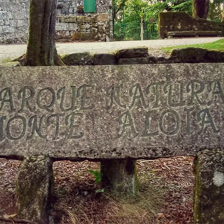 Ponte Febres
