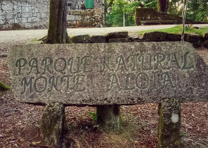 Ponte Febres